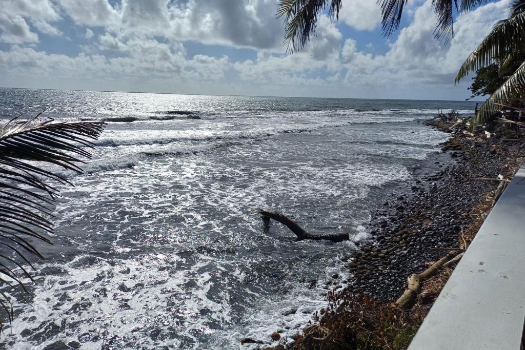 AHONU BEACH STUDIO - Garden and sea - photo 12 - Tahiti, Polynésie