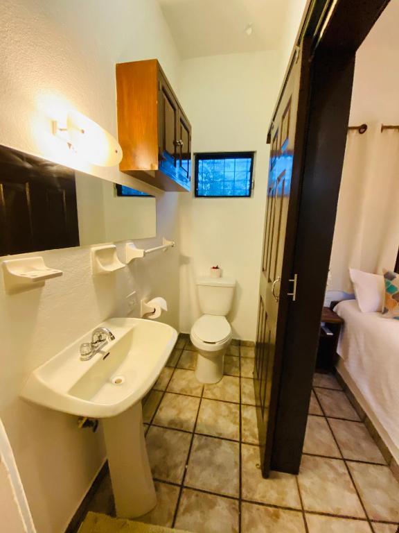 CABO BOHEMIA Tropical Garden Studios - Apartamento - Planta Baja