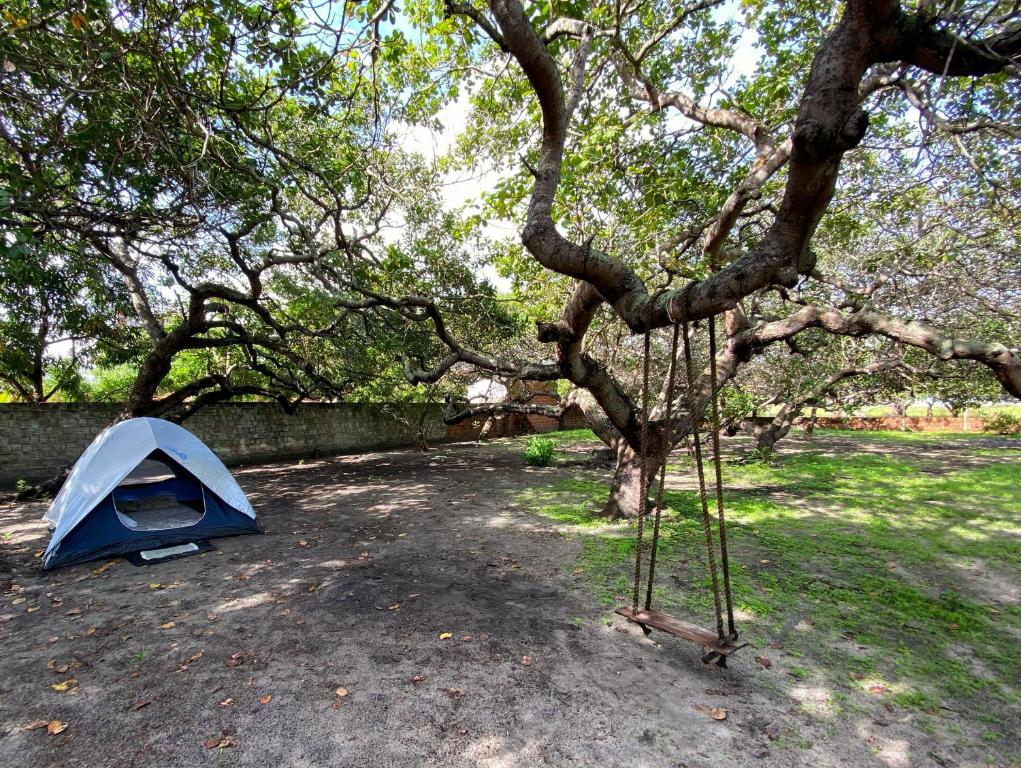 a blue tent sitting next to a tree at Camping MotorHome Caiçara in Caiçara