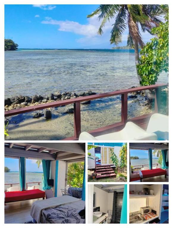 bungalow vue lagon 180 degré, la maison bleue - photo 4 - Moorea, Polynésie