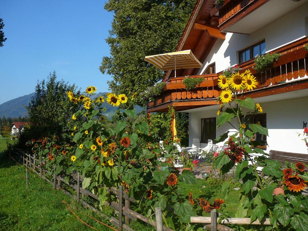 Zahrada ubytování Landhaus Heinrich