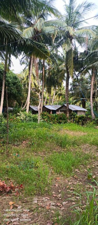 a group of palm trees and a building in a field at SUNSET GARDEN Beach Resort in Neil Island