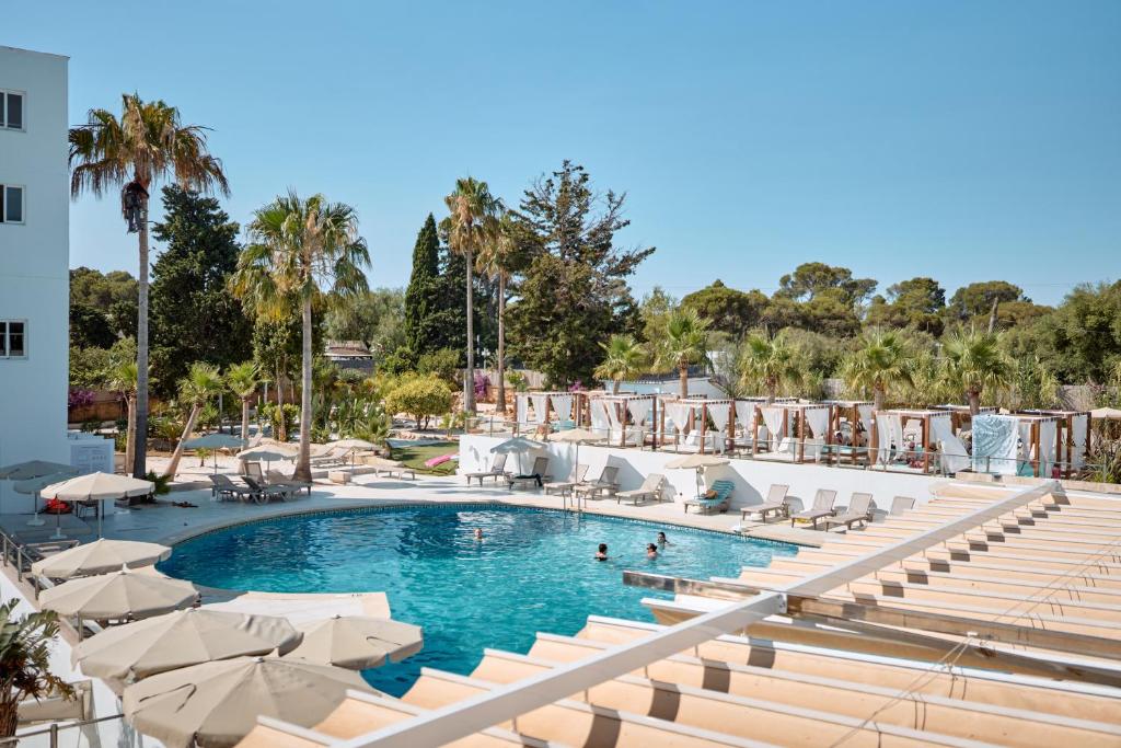 a swimming pool with chairs and umbrellas at a resort at Hotel Ankaa - Adults Only in Porto Cristo