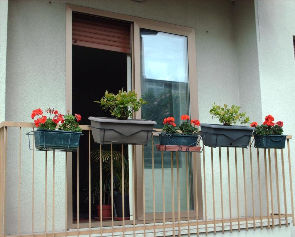 Balkón nebo terasa v ubytování Guest House Cuore del Friuli