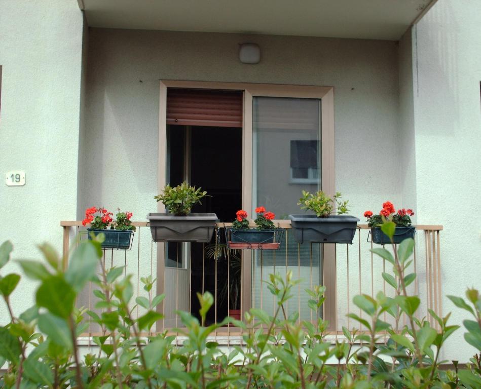 Balkón nebo terasa v ubytování Guest House Cuore del Friuli