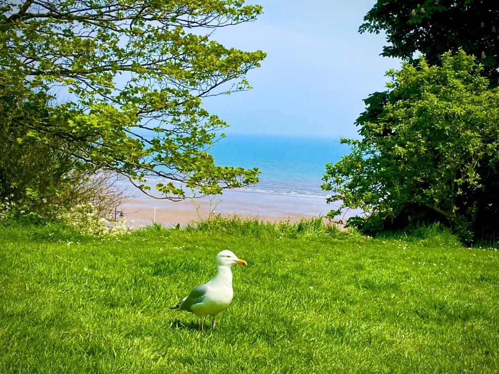 The Bay, Filey, Moonshine Cottage 6