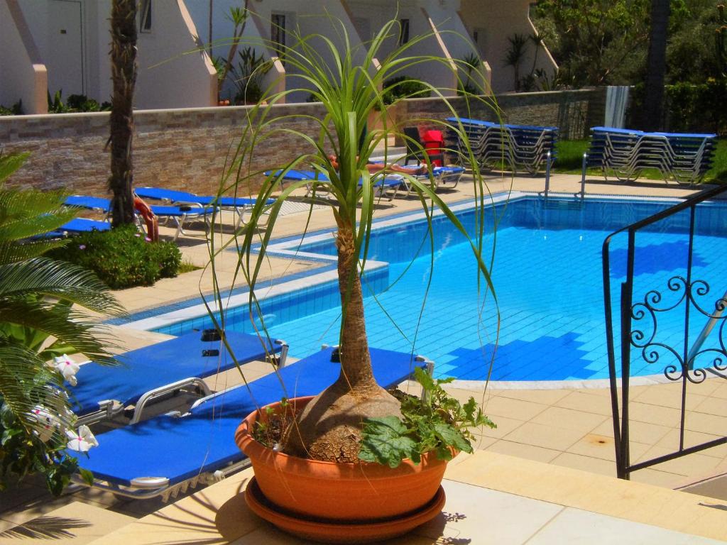 Bazén v ubytování Emerald Hotel nebo v jeho okolí