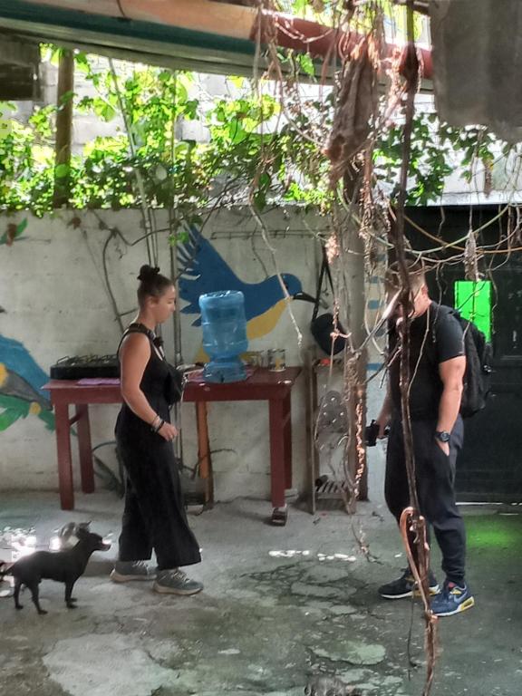 Hosté ubytování House the Cats