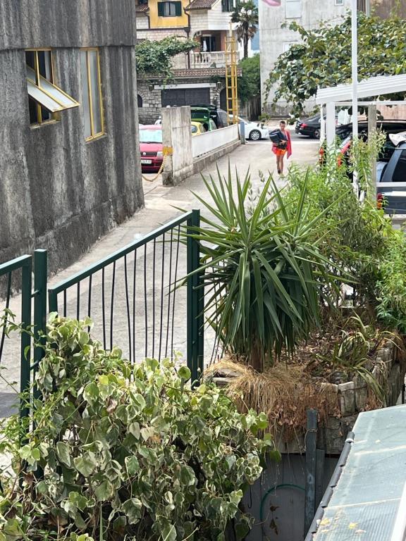 a woman walking down a street next to some plants at Apartman Meljine, Opština Herceg Novi in Meljine