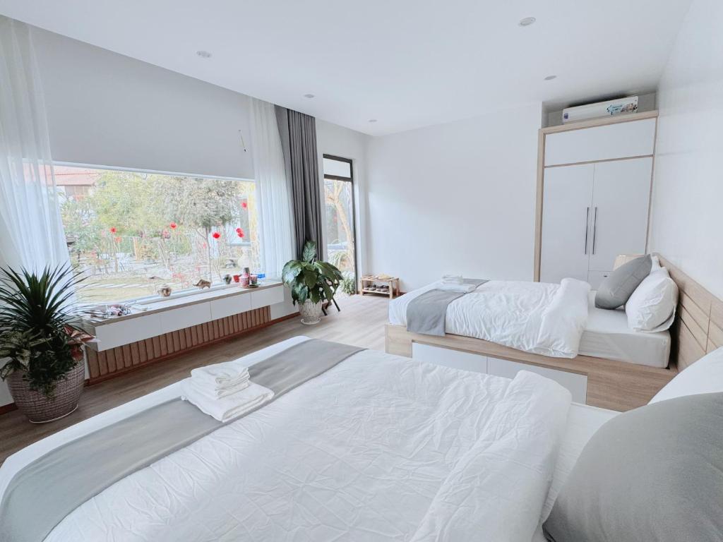 een witte slaapkamer met twee bedden en een raam bij Mộc Sơn Homestay in Mộc Châu