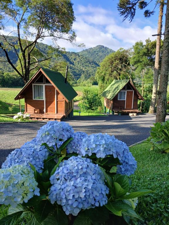 twee kleine huisjes met blauwe hortensia's in een tuin bij Chalés Snow in Urubici