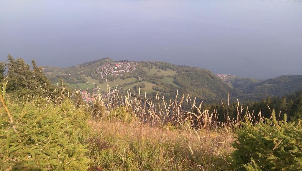 Příroda nedaleko chaty