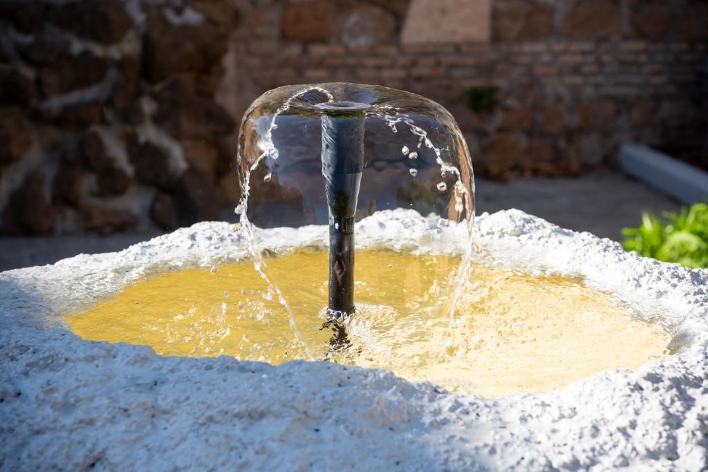 Residenza Leone XIII - Resim 34