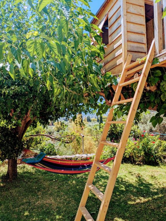 a ladder next to a tree and a boat at Studio with cute garden space in Nydri