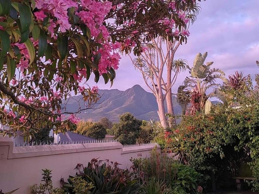 a view of a mountain from a garden with pink flowers at 12 On Churchill in George