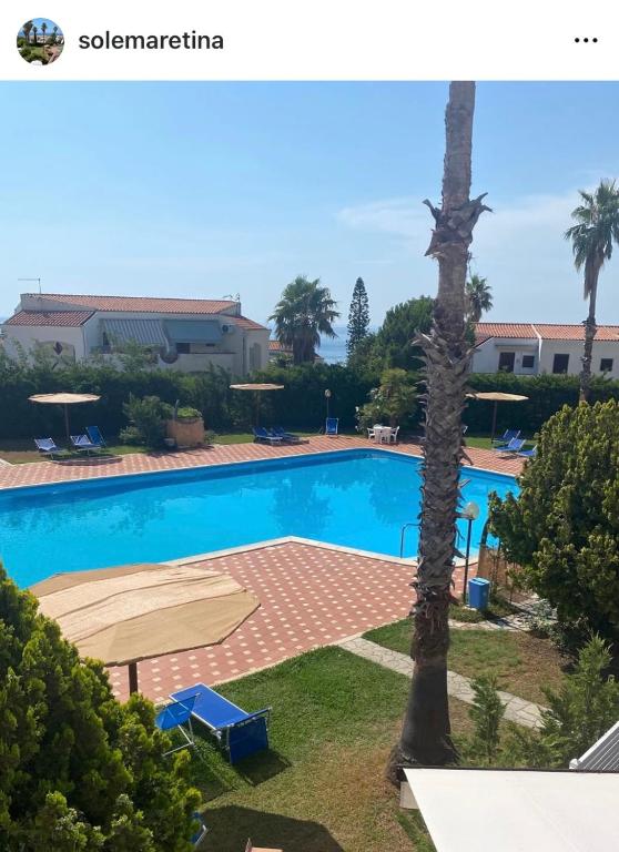 a large swimming pool with a palm tree next to it at Sole Mare da Tina in Cittadella del Capo