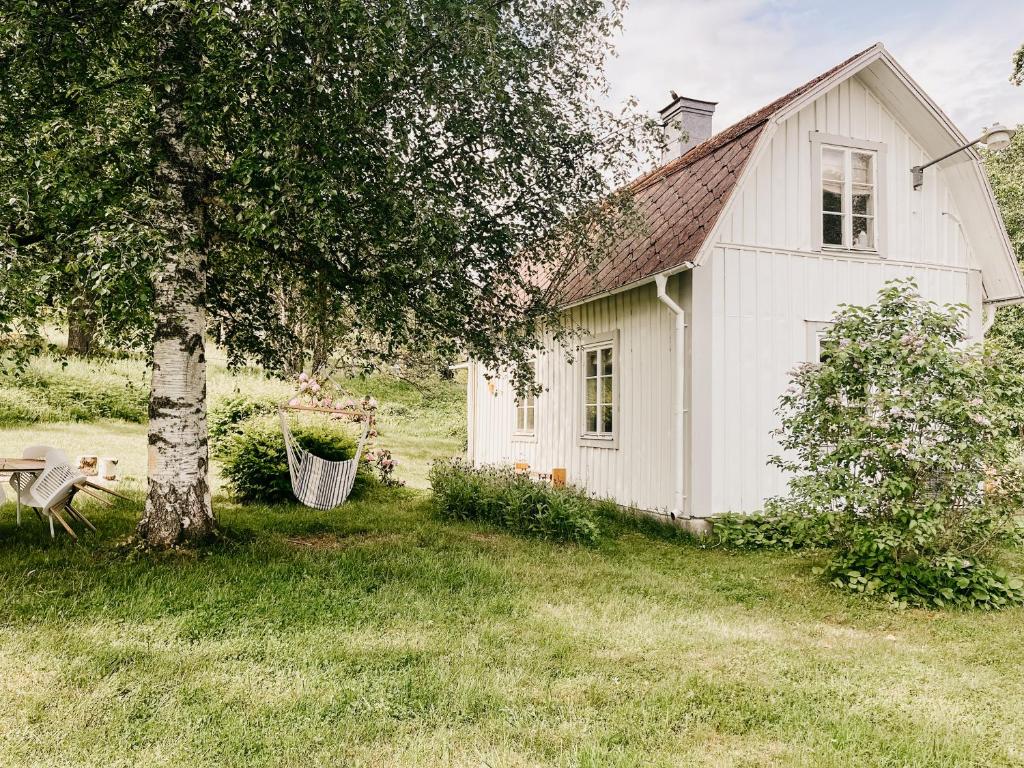 a small white house with a tree in the yard at Cozy wooden house with wood stove in Småland in Stenberga