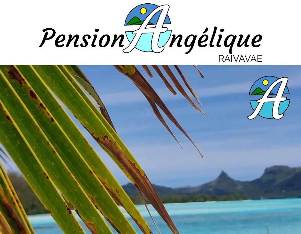 Pension Angélique - photo 8 - Raivavae, Polynésie