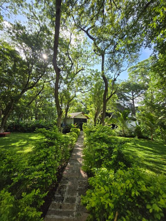 Cabaña Alpina Monte Carlo