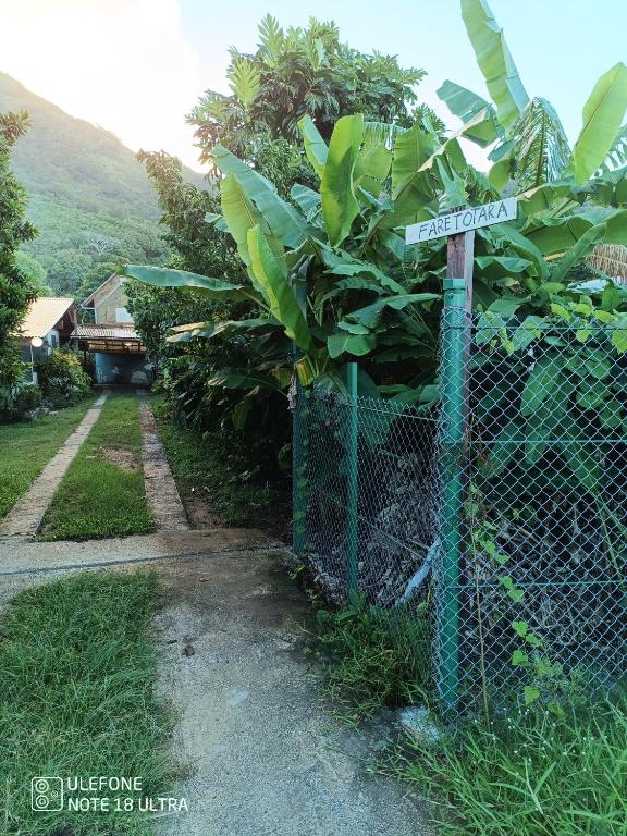 Fare Totara, jardin verdoyant - photo 8 - Moorea, Polynésie
