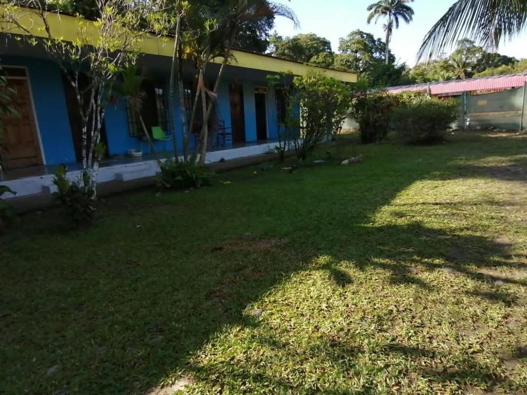 a view of the yard of a house at RoomsMagisPalmera in Cahuita