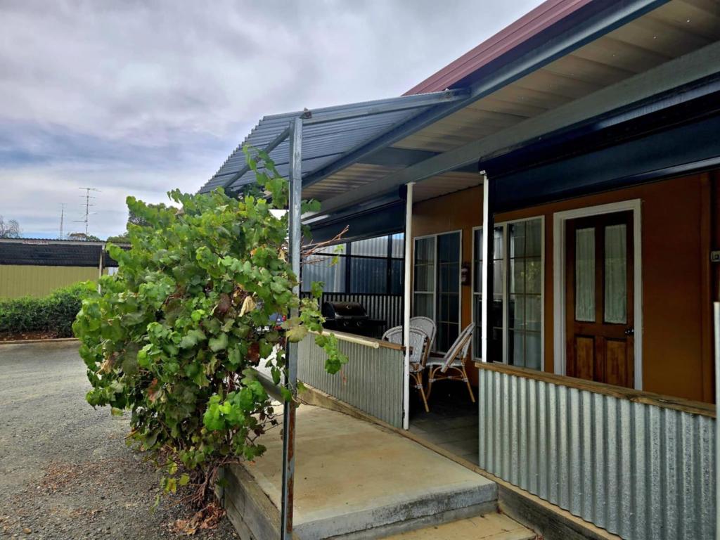 a house with a tree in front of it at Contemporary Studio Accommodation in Farrell Flat