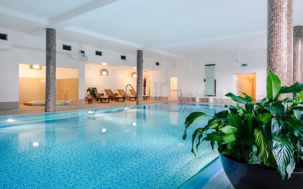 a swimming pool with a potted plant in a building at Boutique Eco Hotel Sasanka in Szklarska Poręba
