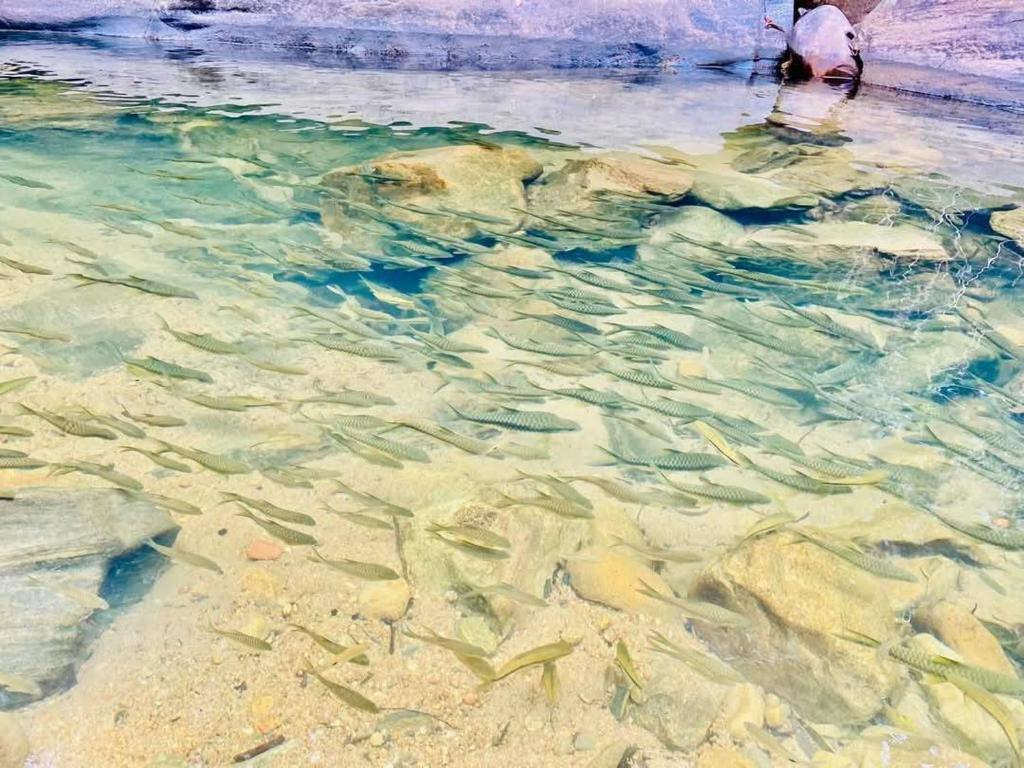 Un paisaje natural cerca del resort