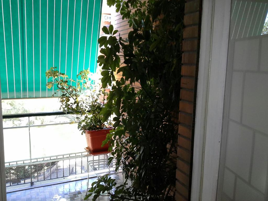 Vonkajšia záhrada v ubytovaní Olimpica Relais guest house