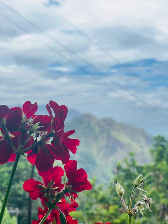 meditation monastery stay - 2