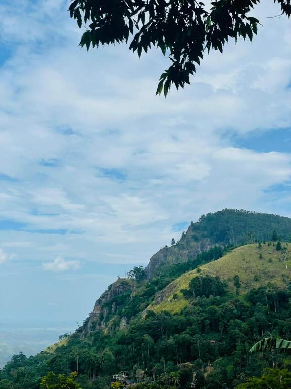 meditation monastery stay - 6