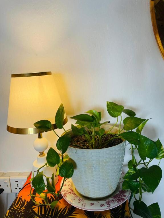 meditation monastery stay - 8