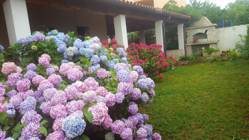 Zahrada ubytování Bed & Breakfast Banjole