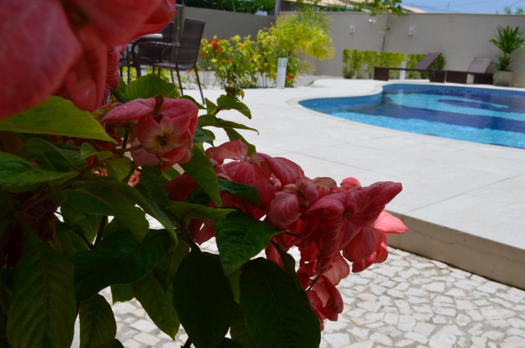  Portinari Residence