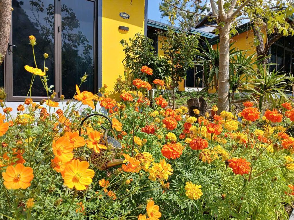 Catba Papillon Garden Bungalows & Resort - 11