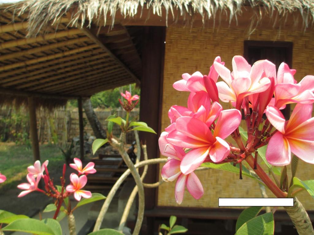 Giardino di Selong Belanak Bungalows