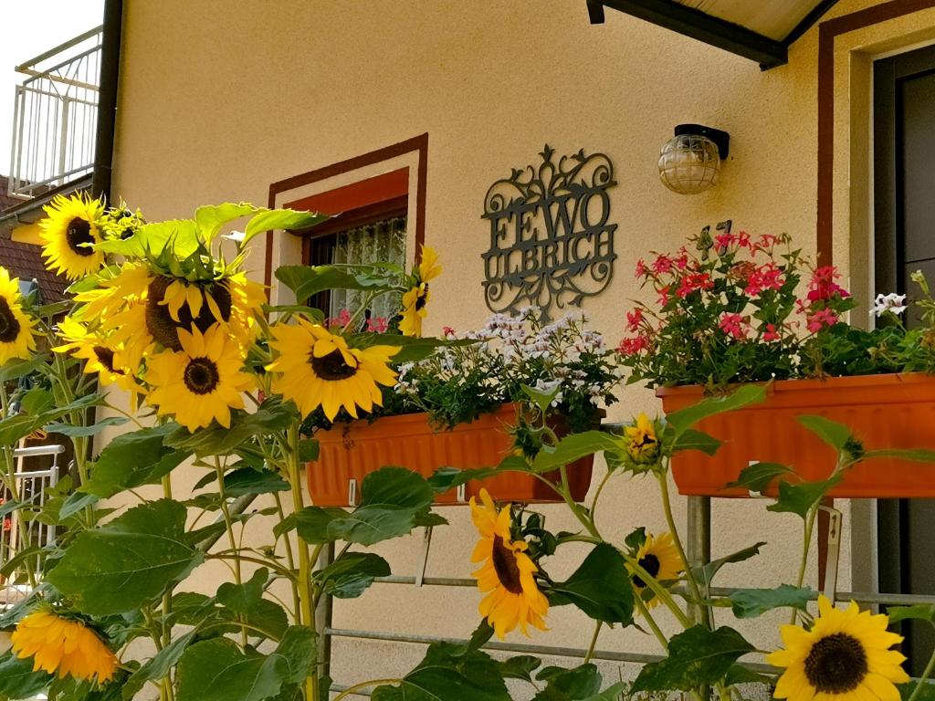 Zahrada ubytování FeWo Ulbrich Langenstadt