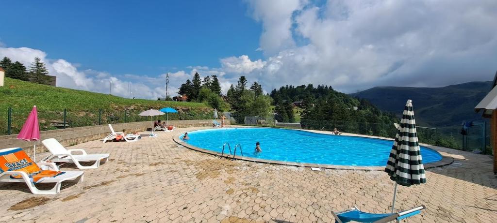 una grande piscina con sedie e ombrelloni di Chalet de montagne a Ustou