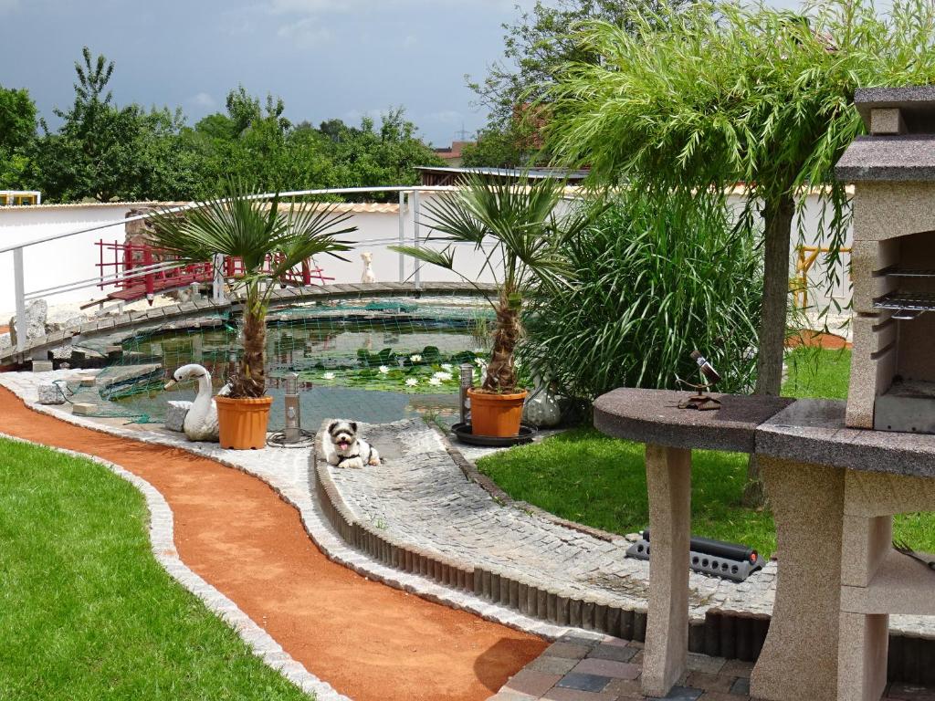 a dog laying next to a pond with swans and palm trees at Apartment Euro AS in Kappel-Grafenhausen