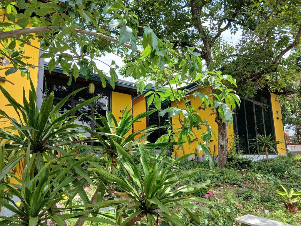 Catba Papillon Garden Bungalows & Resort - 17