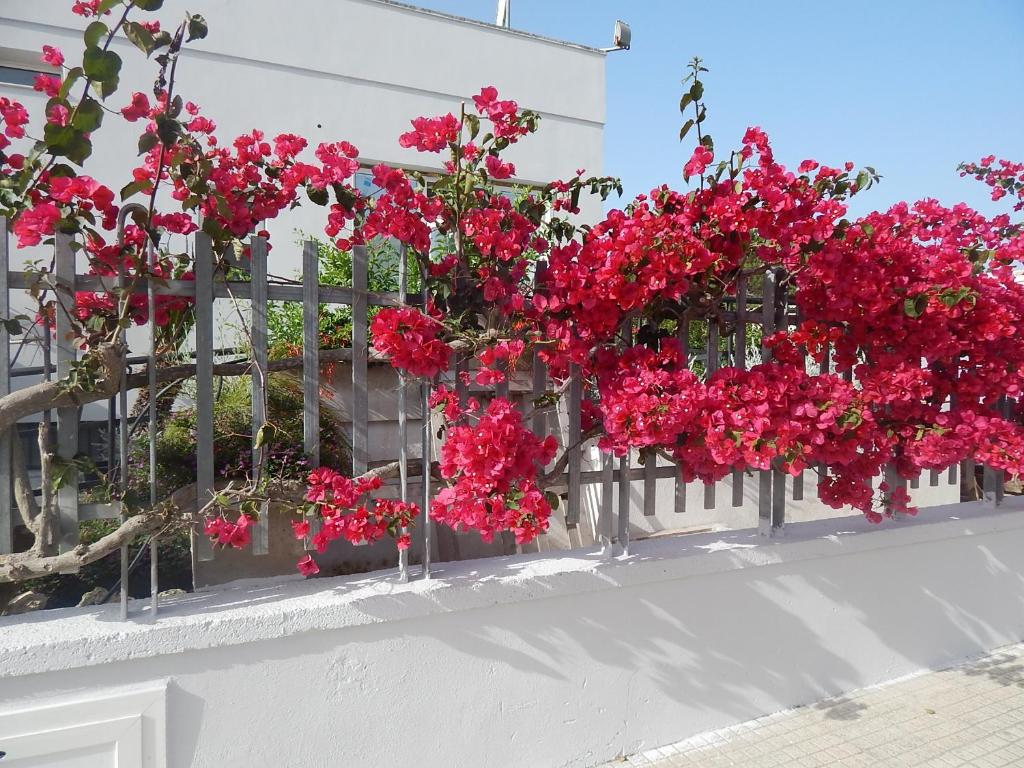 Fotografie z fotogalerie ubytování Monte Sant' Angelo v destinaci Otranto