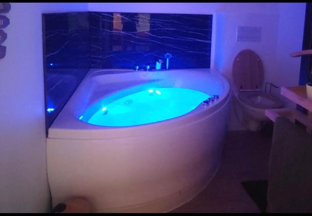 a bath tub in a bathroom with a toilet at T2 balnéothérapie, jardin, parking, tram, boulodrome in Blagnac