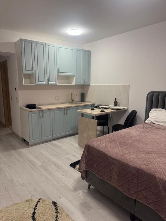 Η κουζίνα ή μικρή κουζίνα στο Rin grand 1 room luxury