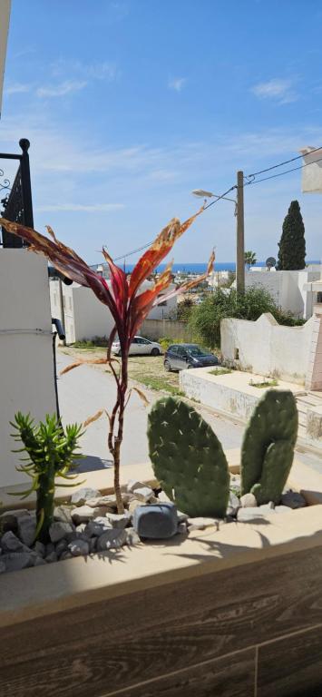 Gallery image of Samy's Luxury Apartments in Hammamet