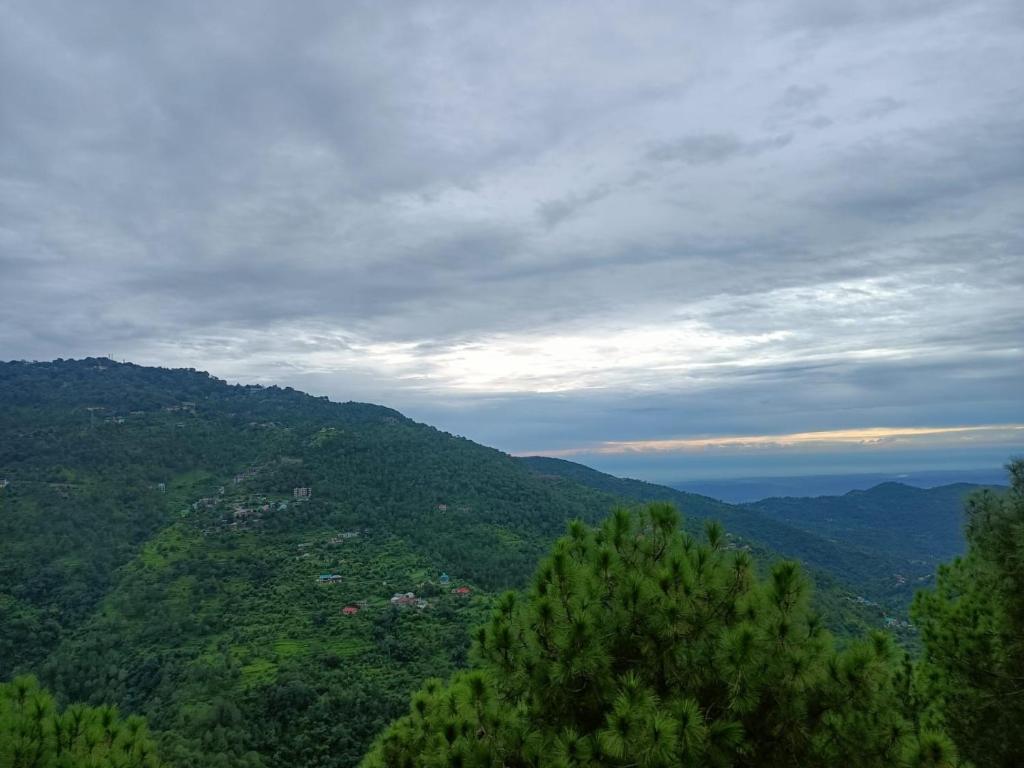 a view of a mountain with trees and a city at Palm Tree Paradise Retreat in Kasauli