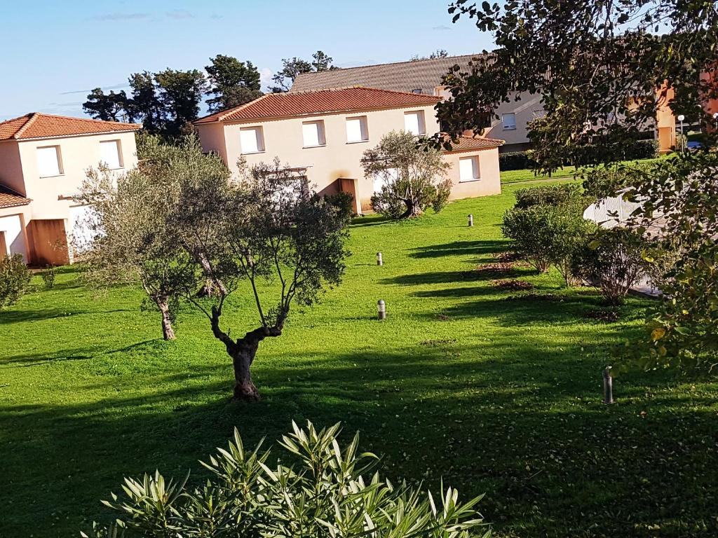 a tree in the middle of a yard with houses at Casa di u sole in Santa-Maria-Poggio