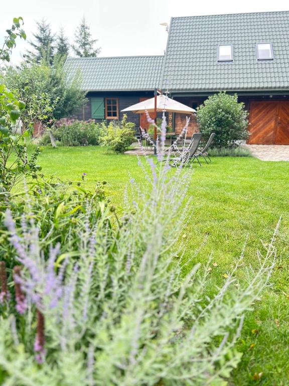 a yard with a house and a lawn with chairs at Leniwa Kolonia in Sarnaki