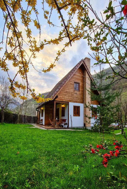 a small wooden house with a green yard at Căsuța cu Alune in Rîmeţi-Valea Uzei
