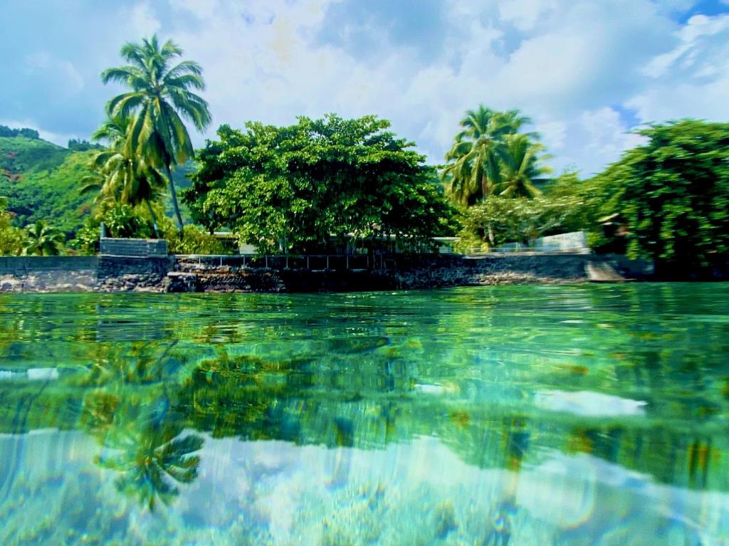 Tiny house with pool near Vaiava beach - photo 11 - Tahiti, Polynésie