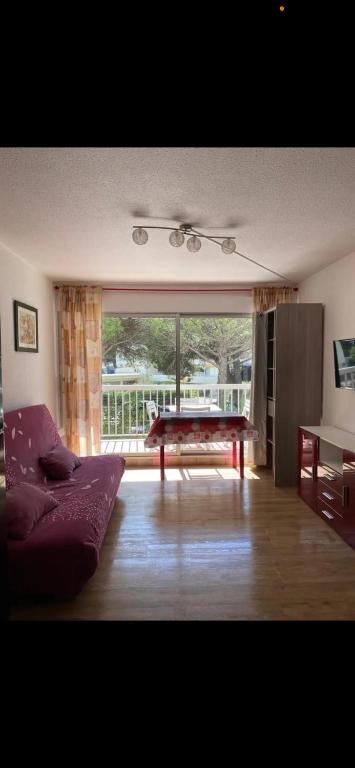 Studio Port Camargue 100m de la plage Sud